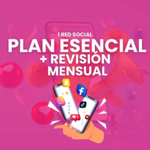 Plan 1 Esencial + Crossposting